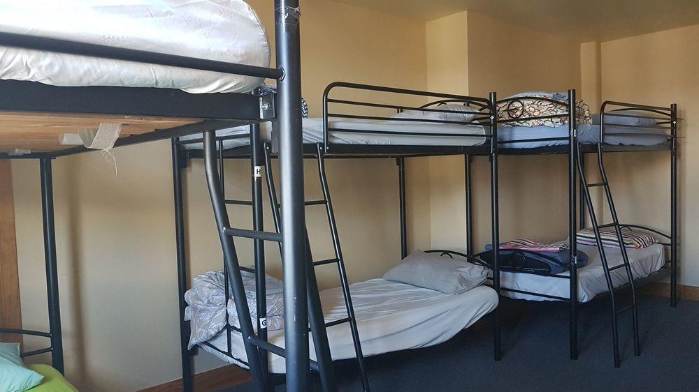Wild Zebra Backpackers Hostel Wellington Buitenkant foto